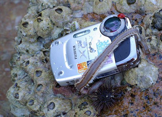 Underwater cameras - Fujifilm FinePix XP30 - LensTip.com