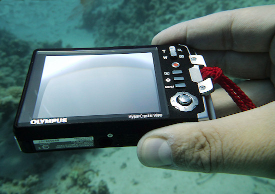 Besparing Boodschapper Niet modieus Underwater cameras test 2011 - Olympus Tough TG-810 - LensTip.com